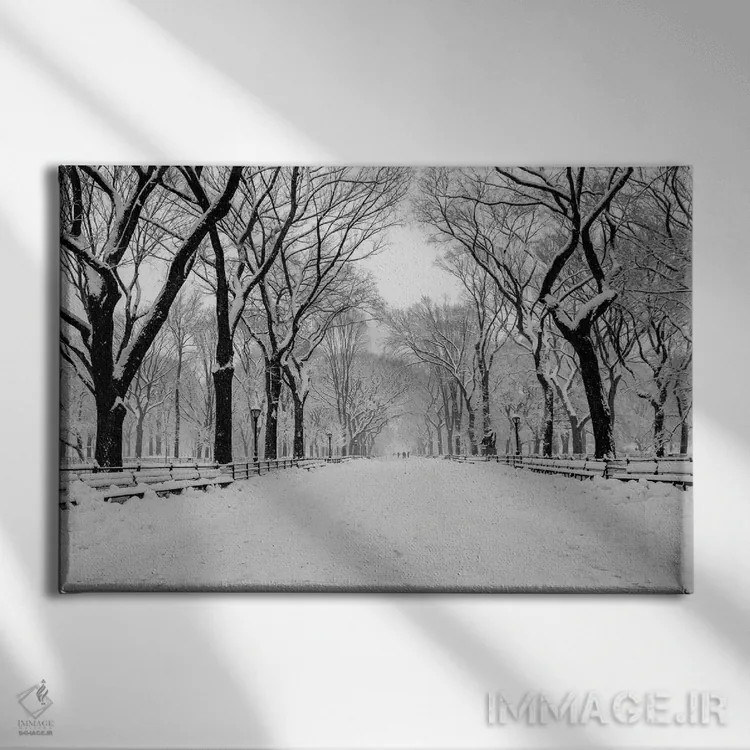 تابلو خیابان اصلی واشینگتن دیسی (The Mall) اثر عکاسی بیل کارسون - نمای روبهرو روی دیوار