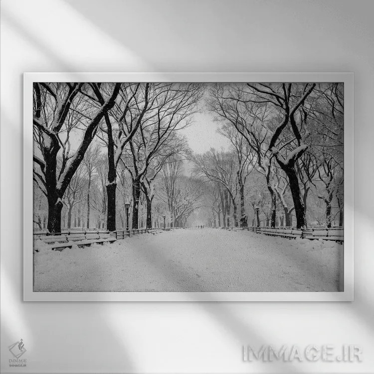 تابلو خیابان اصلی واشینگتن دیسی (The Mall) اثر عکاسی بیل کارسون - نمای قابدار سفید