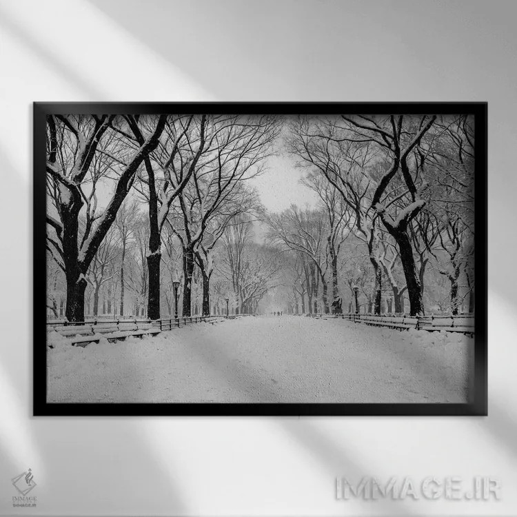 تابلو خیابان اصلی واشینگتن دیسی (The Mall) اثر عکاسی بیل کارسون - نمای قابدار مشکی