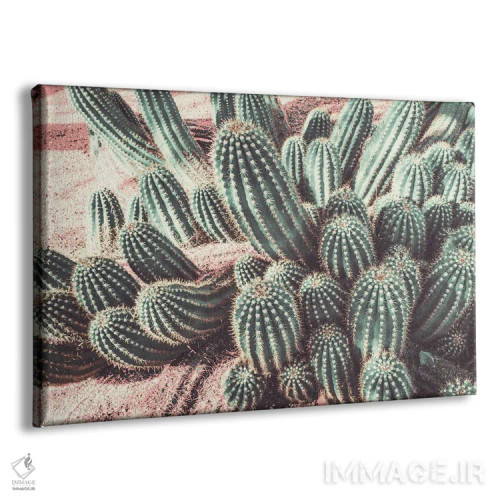 تابلو انفجار ملایم کاکتوس اثر عکاسی بیل کارسون - نمای پرسپکتیو محصول