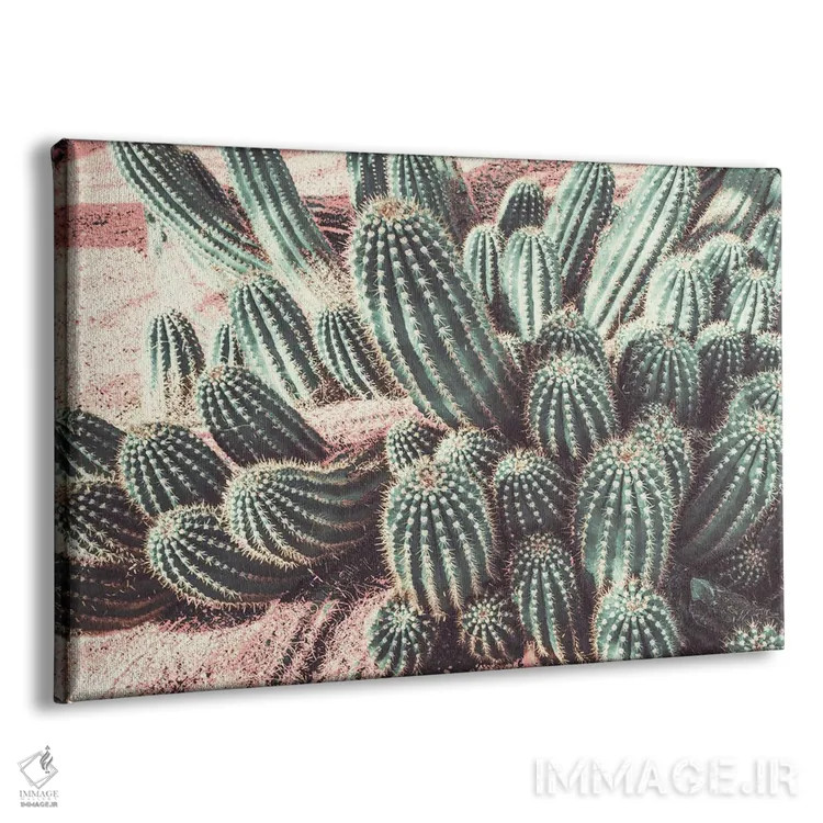تابلو انفجار ملایم کاکتوس اثر عکاسی بیل کارسون - نمای پرسپکتیو محصول