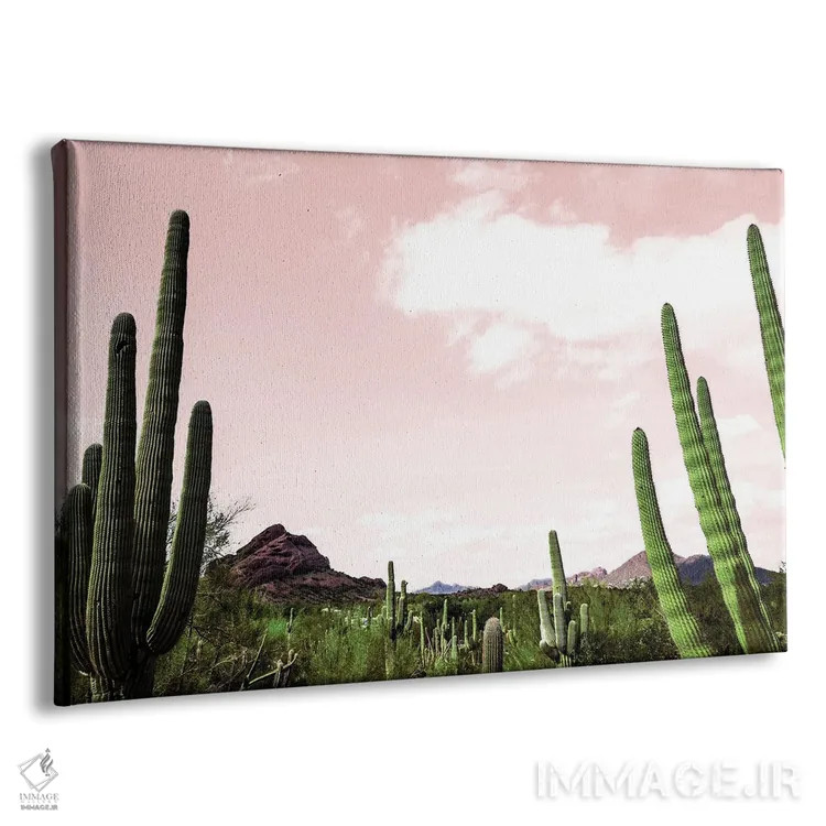 تابلو منظره کاکتوس زیر آسمان صورتی اثر عکاسی بیل کارسون - نمای پرسپکتیو محصول