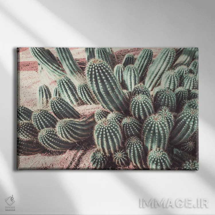 تابلو انفجار ملایم کاکتوس اثر عکاسی بیل کارسون - نمای روبهرو روی دیوار