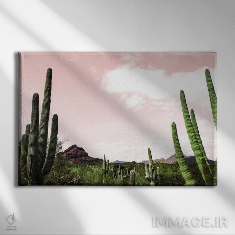 تابلو منظره کاکتوس زیر آسمان صورتی اثر عکاسی بیل کارسون - نمای روبهرو روی دیوار