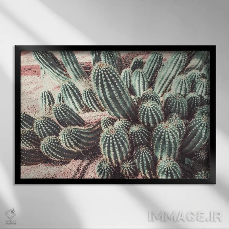 تابلو انفجار ملایم کاکتوس اثر عکاسی بیل کارسون - نمای قابدار مشکی