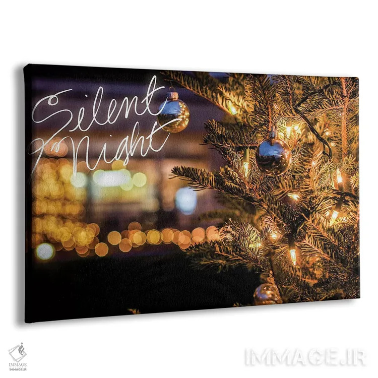 تابلو شب ساکت اثر عکاسی بیل کارسون - نمای پرسپکتیو محصول