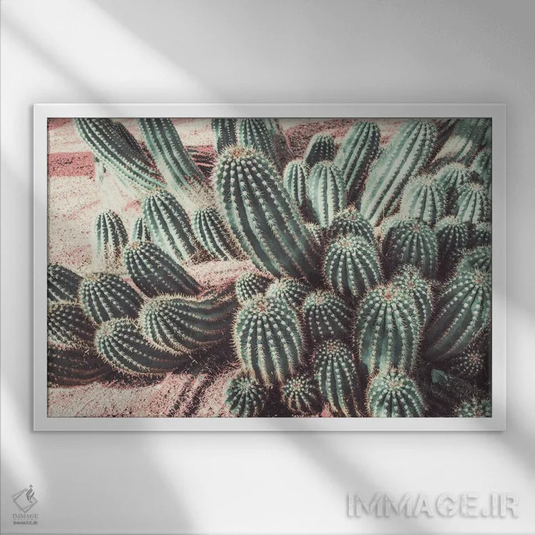تابلو انفجار ملایم کاکتوس اثر عکاسی بیل کارسون - نمای قابدار سفید