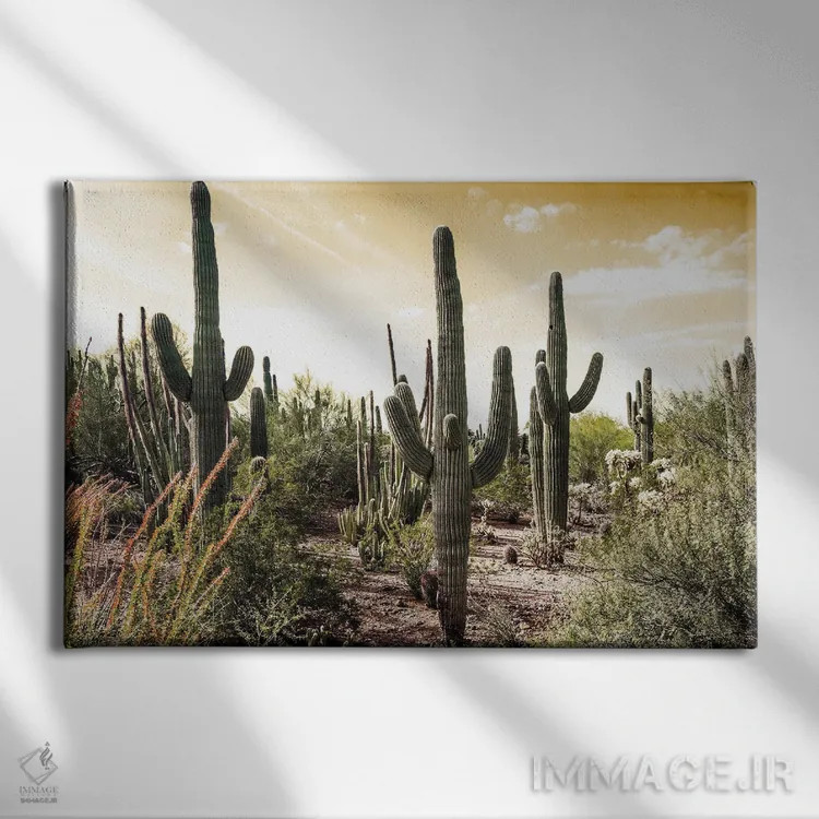 تابلو مزرعه کاکتوس زیر آسمان طلایی اثر عکاسی بیل کارسون - نمای روبهرو روی دیوار