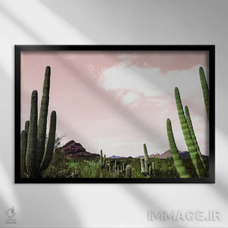 تابلو منظره کاکتوس زیر آسمان صورتی اثر عکاسی بیل کارسون - نمای قابدار مشکی