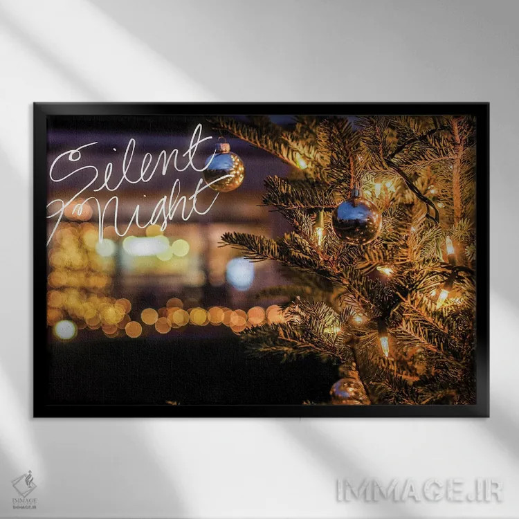 تابلو شب ساکت اثر عکاسی بیل کارسون - نمای قابدار مشکی