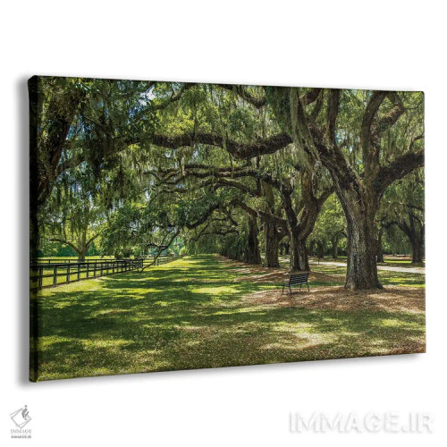 تابلو بون هال (عمارت تاریخی) اثر عکاسی بیل کارسون - نمای پرسپکتیو محصول