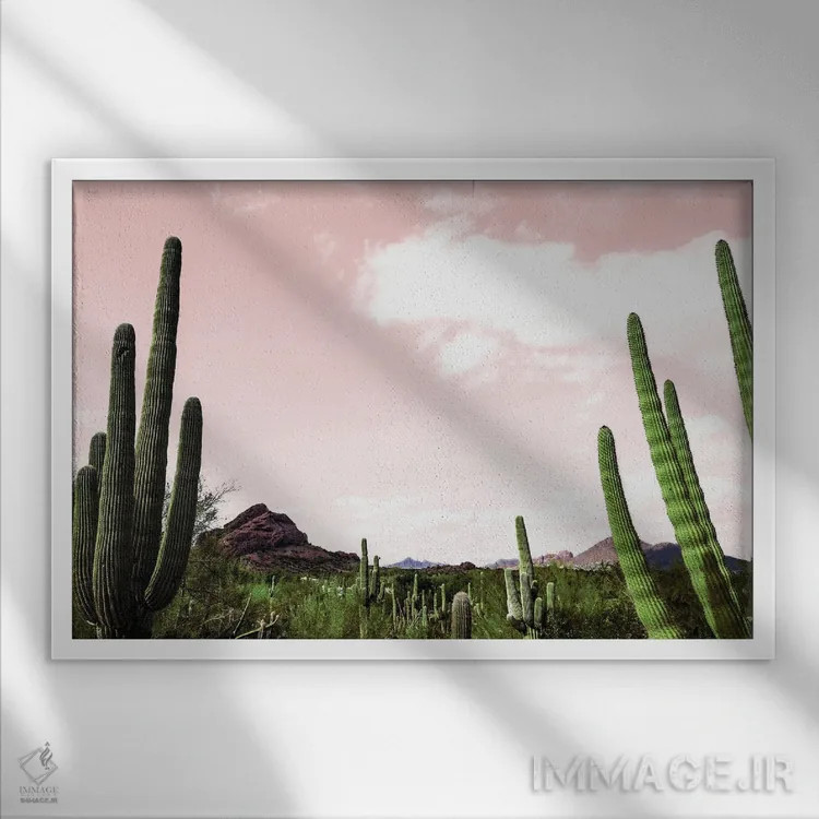تابلو منظره کاکتوس زیر آسمان صورتی اثر عکاسی بیل کارسون - نمای قابدار سفید