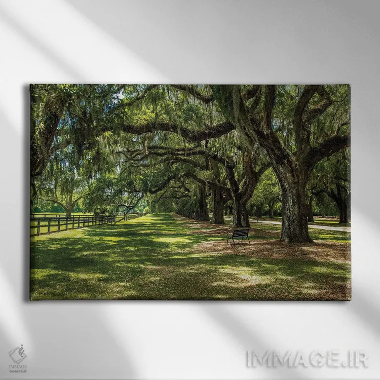 تابلو بون هال (عمارت تاریخی) اثر عکاسی بیل کارسون - نمای روبهرو روی دیوار