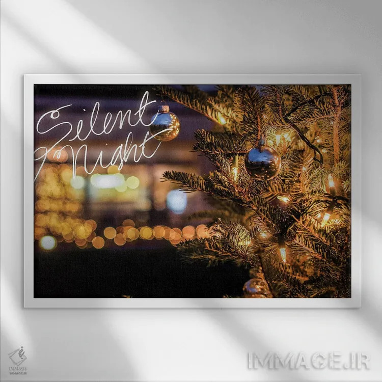 تابلو شب ساکت اثر عکاسی بیل کارسون - نمای قابدار سفید