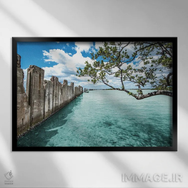 تابلو بهشت شفاف بلورین اثر عکاسی بیل کارسون - نمای قابدار مشکی