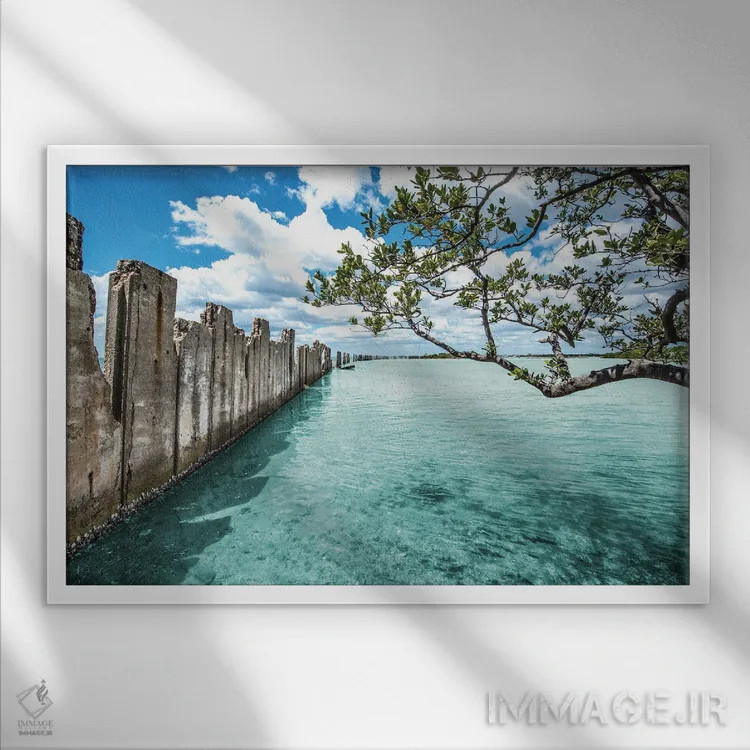 تابلو بهشت شفاف بلورین اثر عکاسی بیل کارسون - نمای قابدار سفید