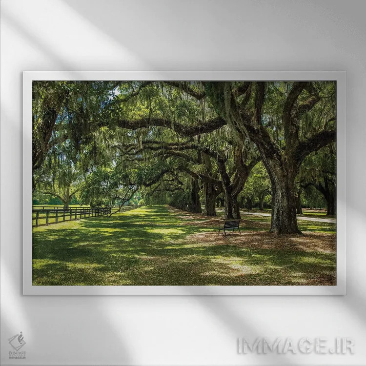 تابلو بون هال (عمارت تاریخی) اثر عکاسی بیل کارسون - نمای قابدار سفید