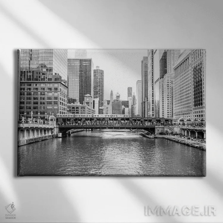 تابلو نمای رودخانه شیکاگو (سیاه و سفید) اثر عکاسی بیل کارسون - نمای روبهرو روی دیوار