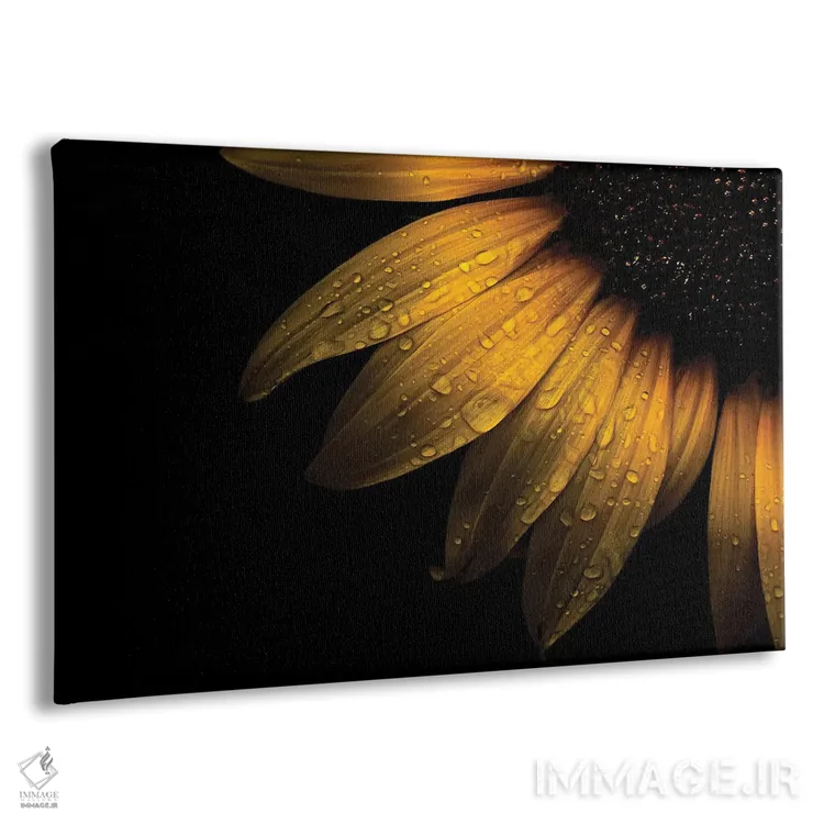 تابلو جزئیات گل آفتابگردان II اثر برایان کارسون - نمای پرسپکتیو محصول