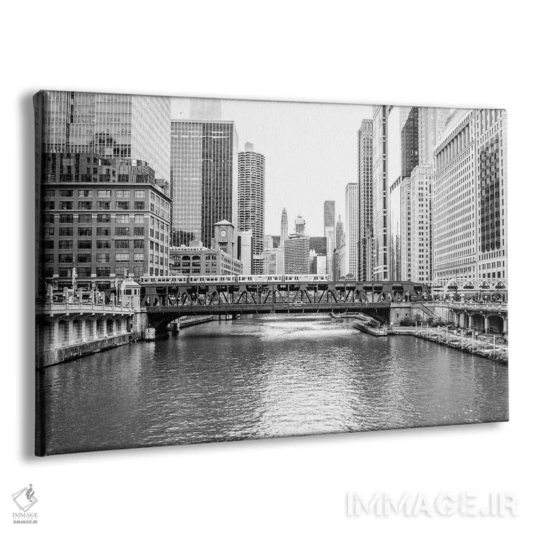 تابلو نمای رودخانه شیکاگو (سیاه و سفید) اثر عکاسی بیل کارسون - نمای پرسپکتیو محصول