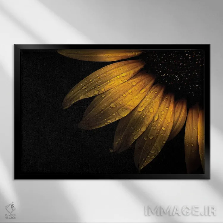 تابلو جزئیات گل آفتابگردان II اثر برایان کارسون - نمای قابدار مشکی