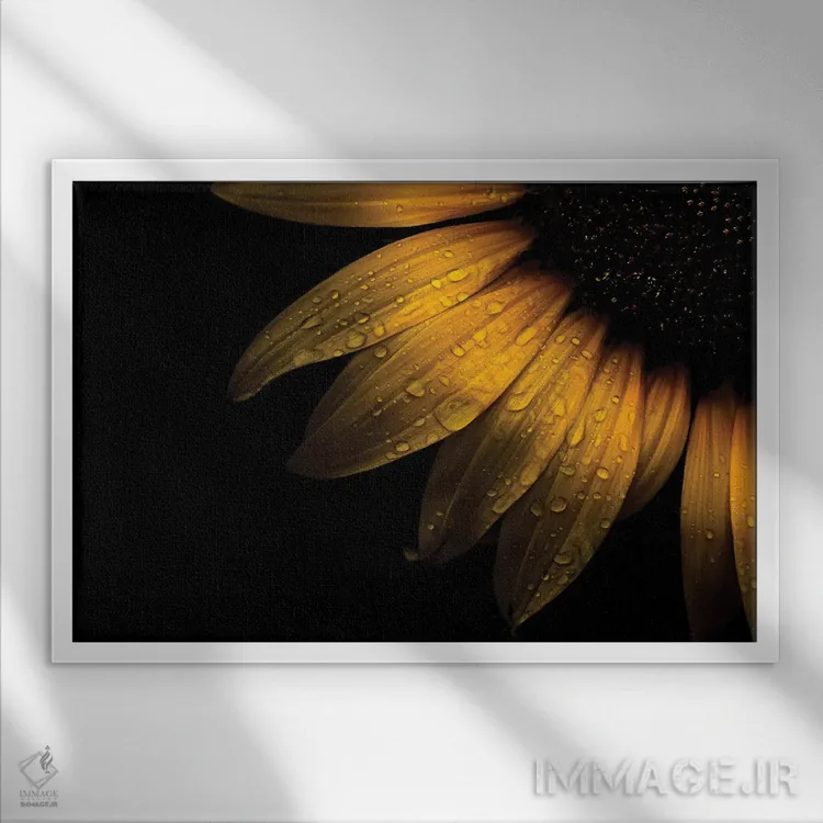 تابلو جزئیات گل آفتابگردان II اثر برایان کارسون - نمای قابدار سفید