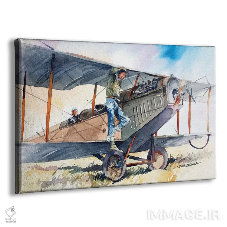 تابلو کرتیس جنی (هواپیمای کلاسیک) اثر بیل درایزدیل - نمای پرسپکتیو محصول