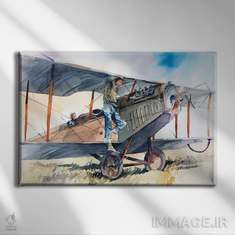 تابلو کرتیس جنی (هواپیمای کلاسیک) اثر بیل درایزدیل - نمای روبهرو روی دیوار