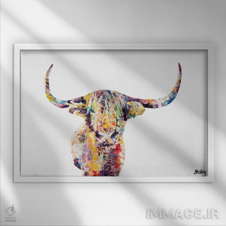 تابلو گاو کوهی اسکاتلندی اثر بکسی - نمای قابدار سفید
