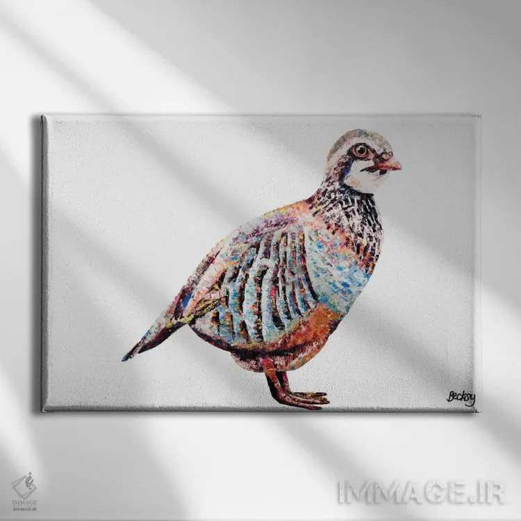 تابلو کبک اثر بکسی - نمای روبهرو روی دیوار