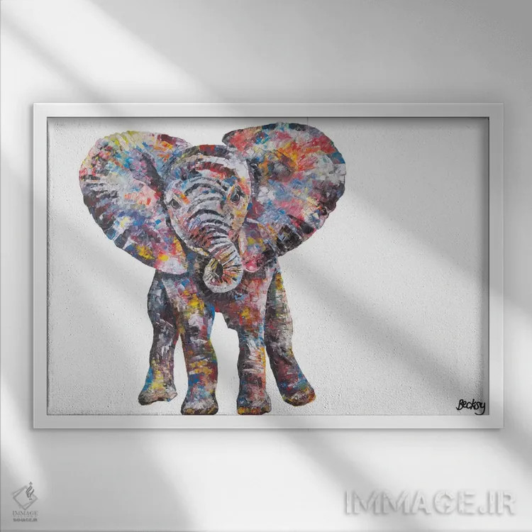 تابلو نلی اثر بکسی - نمای قابدار سفید