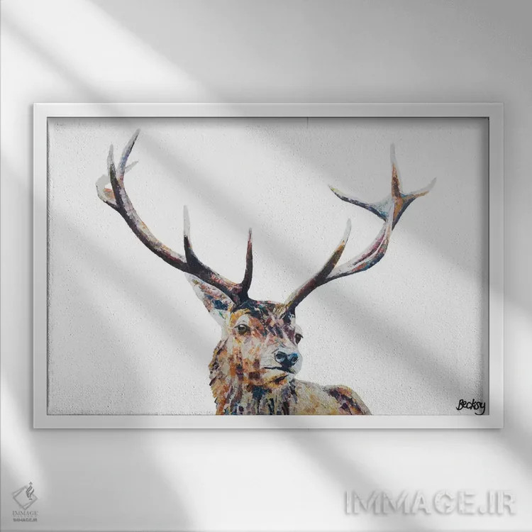 تابلو نیجل اثر بکسی - نمای قابدار سفید