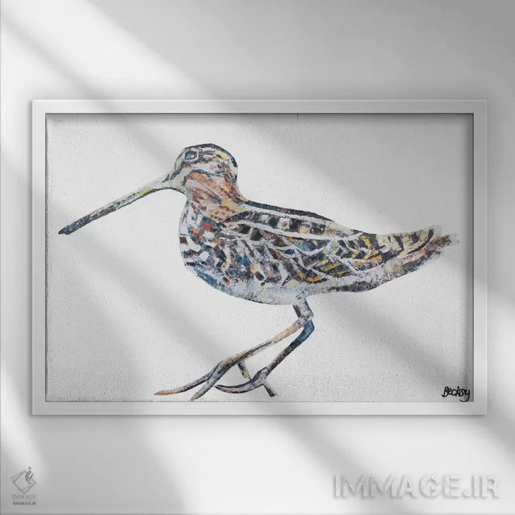 تابلو تیمبردودل (پرنده چوبی) اثر بکسی - نمای قابدار سفید