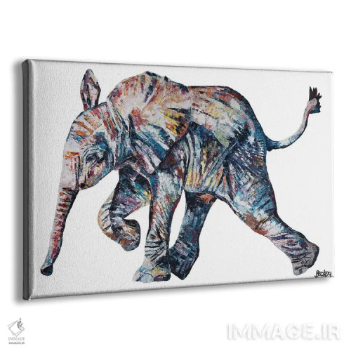 تابلو ایوانکا ترانک اثر بکسی - نمای پرسپکتیو محصول