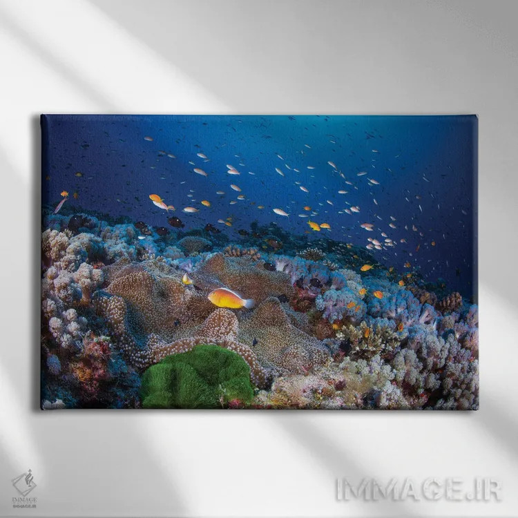 تابلو شقایق دریایی و آنتیاس (ماهی مرجانی) اثر باراتیو گابریل - نمای روبهرو روی دیوار