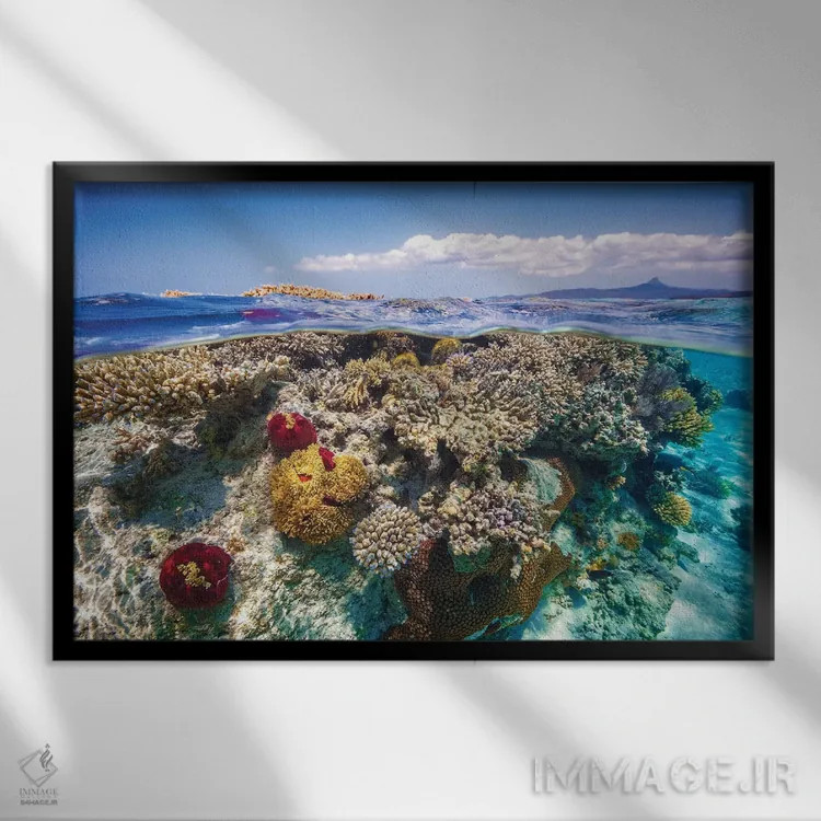 تابلو مایوت: صخره مرجانی (فرانسه) اثر باراتیو گابریل - نمای قابدار مشکی