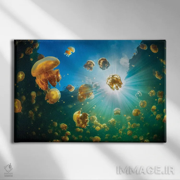 تابلو نور خورشید و عروس دریایی اثر باراتیو گابریل - نمای روبهرو روی دیوار