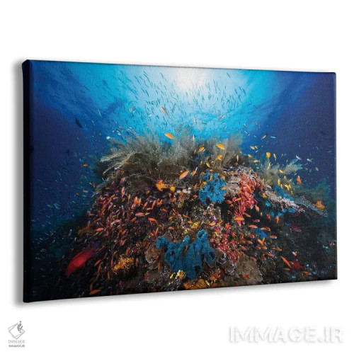 تابلو آپنه (وقفهٔ تنفسی/عنوان خاص) اثر باراتیو گابریل - نمای پرسپکتیو محصول