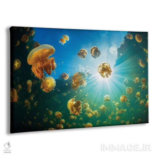 تابلو نور خورشید و عروس دریایی اثر باراتیو گابریل - نمای پرسپکتیو محصول