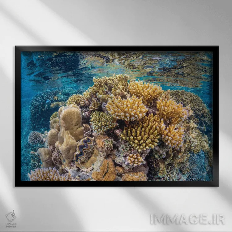 تابلو صخره مرجانی مایوت (فرانسه) اثر باراتیو گابریل - نمای قابدار مشکی