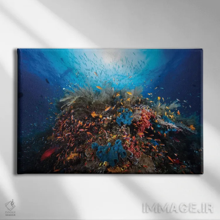 تابلو آپنه (وقفهٔ تنفسی/عنوان خاص) اثر باراتیو گابریل - نمای روبهرو روی دیوار