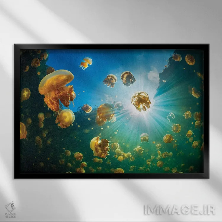 تابلو نور خورشید و عروس دریایی اثر باراتیو گابریل - نمای قابدار مشکی