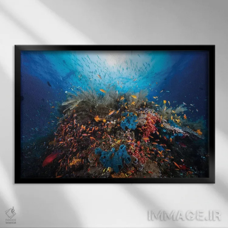 تابلو آپنه (وقفهٔ تنفسی/عنوان خاص) اثر باراتیو گابریل - نمای قابدار مشکی