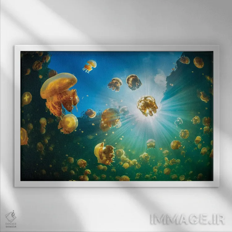 تابلو نور خورشید و عروس دریایی اثر باراتیو گابریل - نمای قابدار سفید