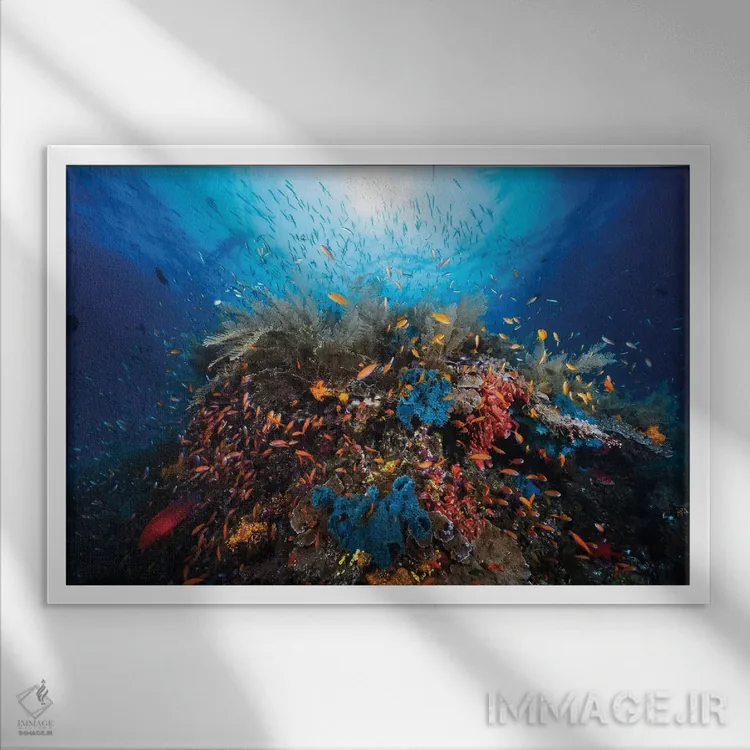 تابلو آپنه (وقفهٔ تنفسی/عنوان خاص) اثر باراتیو گابریل - نمای قابدار سفید