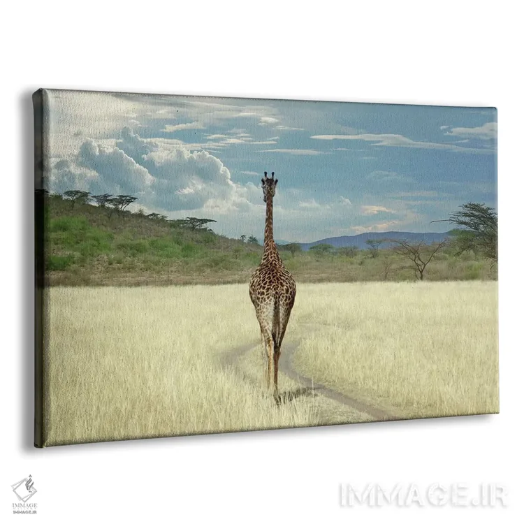 تابلو تا وقتی برسم آنجا اثر بن هاین (هنرمند بلژیکی) - نمای پرسپکتیو محصول