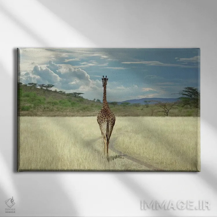 تابلو تا وقتی برسم آنجا اثر بن هاین (هنرمند بلژیکی) - نمای روبهرو روی دیوار