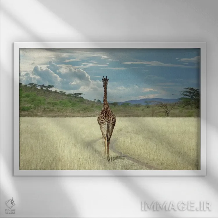 تابلو تا وقتی برسم آنجا اثر بن هاین (هنرمند بلژیکی) - نمای قابدار سفید