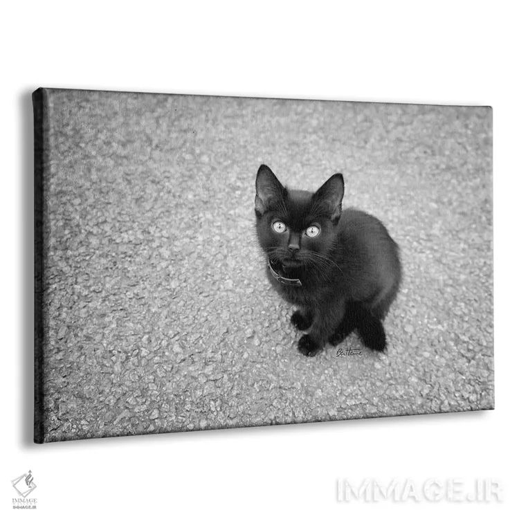 تابلو فقط یک نوزاد اثر بن هاین (هنرمند بلژیکی) - نمای پرسپکتیو محصول