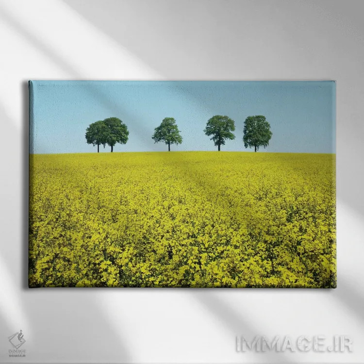 تابلو برادری اثر بن هاین (هنرمند بلژیکی) - نمای روبهرو روی دیوار